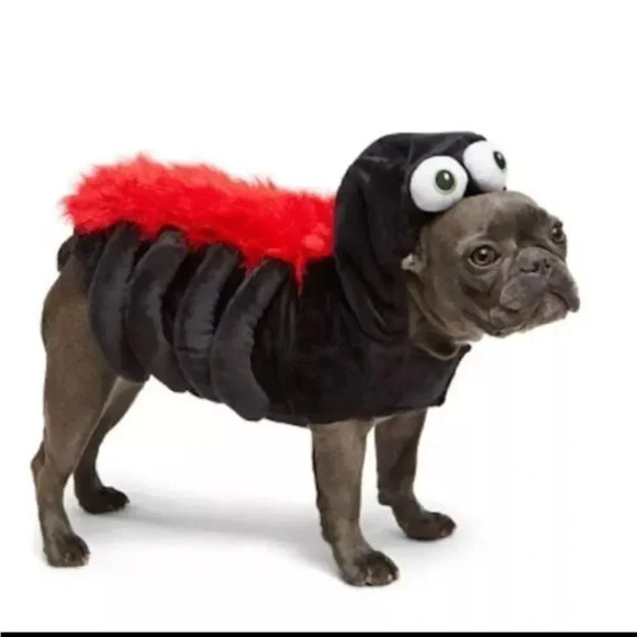 Martha Stewart Pets Size L Black & Red Spider Costume - Picture 1 of 16